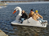 Adventure Glass Swan Platform 4 Person Pedal Boat Pedal Boats Adventure Glass   