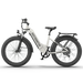 52V All-terrain Electric Bike (Queen Edition) Electric Bikes AOSTIRMOTOR   