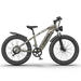 Off-road Electric Bike (Hero Edition) Electric Bikes AOSTIRMOTOR   