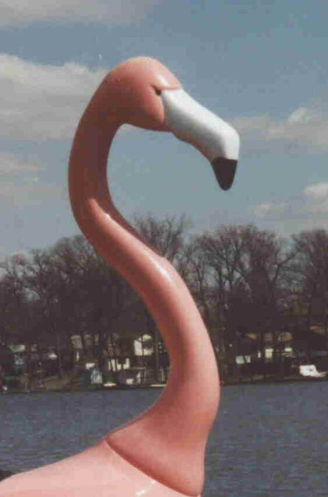 Adventure Glass Pink Flamingo Classic 2 Person Pedal Boat Pedal Boats Adventure Glass   