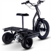 MotoTec Electric Trike 48v 1200w Electric Trikes MotoTec   