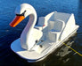 Adventure Glass Big Bird Swan Platform Pedal Boat Pedal Boats Adventure Glass   