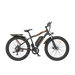 750W Electric Mountain Bike (S07) Electric Bikes AOSTIRMOTOR   
