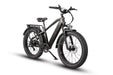 Pioneer Fat Tire Electric Bike Electric Bikes Dirwin   