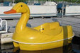 Adventure Glass Duck Classic 2 Person Paddle Boat Pedal Boats Adventure Glass   