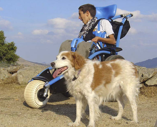 Hippocampe® – All Terrain Beach Wheelchairs ACCESSREC   