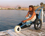 Hippocampe® – All Terrain Beach Wheelchairs ACCESSREC   